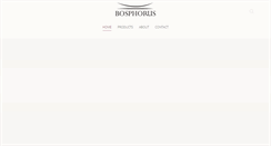 Desktop Screenshot of bosphorusworld.com